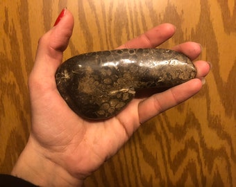 arabic tradition genstones in penis Porn hub boobs